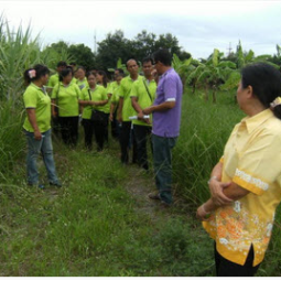 		โครงการศูนย์แปลงสาธิตการเกษตรแบบผสมผสาน ตำบลสุขเดือนห้า จังหวัดชัยนาท (6 สิงหาคม 2555)