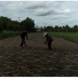 โครงการศูนย์แปลงสาธิตการเกษตรแบบผสมผสาน ตำบลสุขเดือนห้า จังหวัดชัยนาท (25 กรกฎาคม 2555)