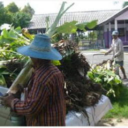 	โครงการสาธิตการปลูกพืชในพื้นที่ดินเค็ม ต.ตาจั่น อ.คง จ.นครราชสีมา (1 มิถุนายน 2555)