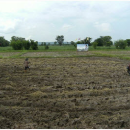 	โครงการศูนย์แปลงสาธิตการเกษตรแบบผสมผสาน ตำบลสุขเดือนห้า จังหวัดชัยนาท (7 มิถุนายน 2555)