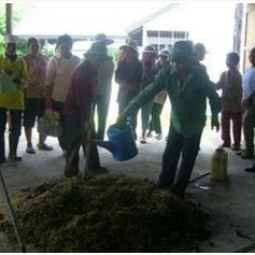 	โครงการสาธิตการปลูกพืชในพื้นที่ดินเค็ม ต.ตาจั่น อ.คง จ.นครราชสีมา (14 มิถุนายน 2555)