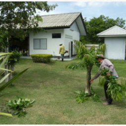 โครงการศูนย์แปลงสาธิตการเกษตรแบบผสมผสาน ตำบลสุขเดือนห้า จังหวัดชัยนาท (23 มิถุนายน 2555)