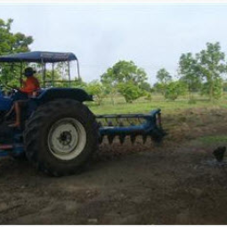 	โครงการสาธิตการปลูกพืชในพื้นที่ดินเค็ม ต.ตาจั่น อ.คง จ.นครราชสีมา (18 พฤษภาคม 2555)