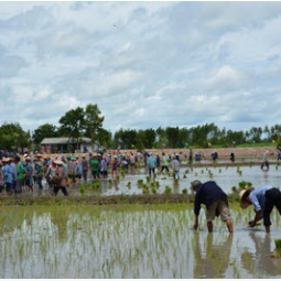 โครงการศูนย์แปลงสาธิตการเกษตรแบบผสมผสาน ตำบลสุขเดือนห้า จังหวัดชัยนาท (16 สิงหาคม 2556)