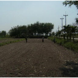 โครงการศูนย์แปลงสาธิตการเกษตรแบบผสมผสาน ตำบลสุขเดือนห้า จังหวัดชัยนาท (12 มีนาคม 2556)