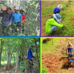 โครงการพัฒนาป่าชุมชนบ้านอ่างเอ็ด จังหวัดจันทบุรี (15 ตุลาคม 2557)