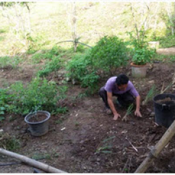 โครงการพัฒนาป่าชุมชนบ้านอ่างเอ็ด จังหวัดจันทบุรี (17 ตุลาคม 2557)