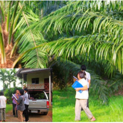 โครงการพัฒนาป่าชุมชนบ้านอ่างเอ็ด จังหวัดจันทบุรี (17 กันยายน 2557)