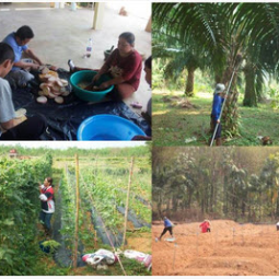 		โครงการพัฒนาป่าชุมชนบ้านอ่างเอ็ด จังหวัดจันทบุรี (20 กุมภาพันธ์ 2558)