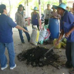 โครงการสาธิตการปลูกพืชในพื้นที่ดินเค็ม ต.ตาจั่น อ.คง จ.นครราชสีมา(10 กรกฎาคม 2554)