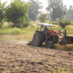 โครงการศูนย์แปลงสาธิตการเกษตรแบบผสมผสาน ตำบลสุขเดือนห้า จังหวัดชัยนาท (13 พฤษภาคม 2554)