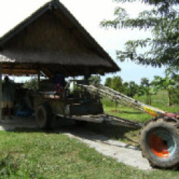 โครงการศูนย์แปลงสาธิตการเกษตรแบบผสมผสาน ตำบลสุขเดือนห้า กิ่งอำเภอเนินขาม จังหวัดชัยนาท (27  สิงหาคม  2552)