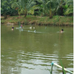 โครงการโรงงานสกัดน้ำมันพืชและผลิตไบโอดีเซลฯ ต.ไร่ใหม่ชะอำ จ.เพชรบุรี (27 กรกฎาคม 2562)