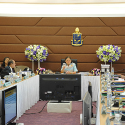 สมเด็จพระเทพรัตนราชสุดาฯ สยามบรมราชกุมารี ทรงเป็นองค์ประธานการประชุมคณะกรรมการมูลนิธิชัยพัฒนา ครั้งที่ 1 / 2554
