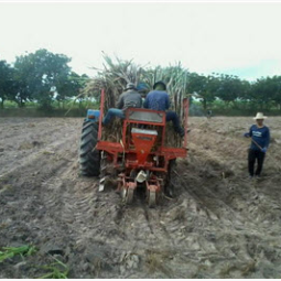 		โครงการศูนย์แปลงสาธิตการเกษตรแบบผสมผสาน ตำบลสุขเดือนห้า จังหวัดชัยนาท (8 ธันวาคม 2557)