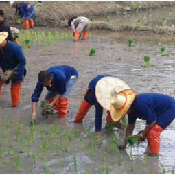 โครงการศูนย์แปลงสาธิตการเกษตรแบบผสมผสาน ตำบลสุขเดือนห้า จังหวัดชัยนาท (21 สิงหาคม 2558)