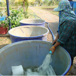 โครงการฟาร์มทดสอบสาธิตมีนเกษตร “สองน้ำ” บ้านท่าไข่ จ.ฉะเชิงเทรา(5 เมษายน  2553)