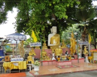 <strong>อ่านเพิ่มเติมเกี่ยวกับ</strong><br />วัดพิชัย แขวงคลองกุ่ม  เขตบึงกุ่ม กรุงเทพมหานคร วัดพิชัย แขวงคลองกุ่ม  เขตบึงกุ่ม กรุงเทพมหานคร