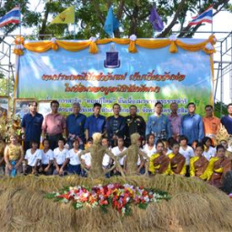 Assistant Secretary - General of the Chaipattana Foundation Presided Over the Traditional Event of 'Transplant on Mother's Day, Harvest on Father's Day' on the Chaipattana's Land in Nakon Ratchasima Province