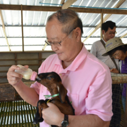 Dr. Sumet Tantivejkul, Secretary-General of the Chaipattana Foundation Visited Goat Housing Farm and Ruminant Research   and Development Center, Prince of Songkla University