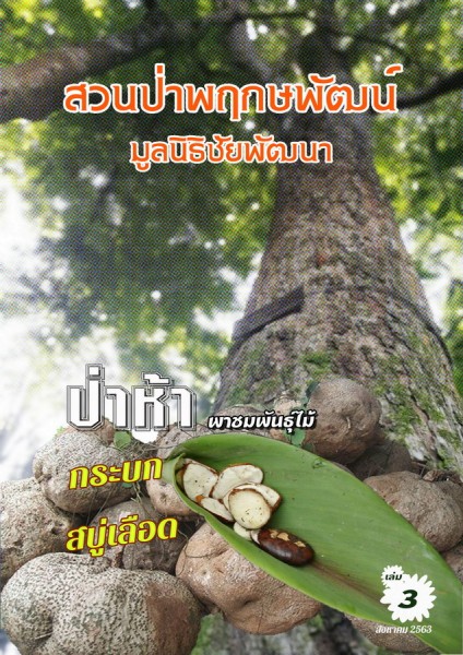 วารสารสวนป่าพฤกษพัฒน์ มูลนิธิชัยพัฒนา เดือนสิงหาคม 2563 รูปภาพ 1