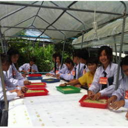 		โครงการปลูกพืชไร้ดิน(ไฮโดรโพนิกส์) จ.ปราจีนบุรี (10 มิถุนายน 2556)