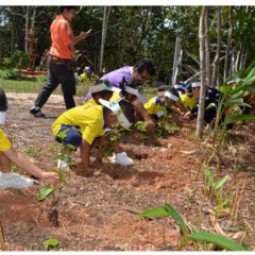 โครงการพัฒนาป่าชุมชนบ้านอ่างเอ็ด จังหวัดจันทบุรี (26 กุมภาพันธ์ 2559)