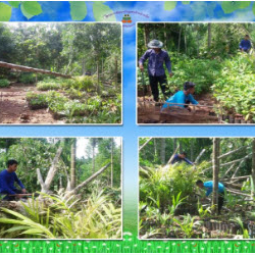 โครงการพัฒนาป่าชุมชนบ้านอ่างเอ็ด จังหวัดจันทบุรี (8 กรกฎาคม 2559)