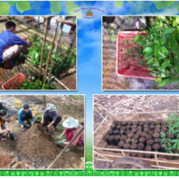 โครงการพัฒนาป่าชุมชนบ้านอ่างเอ็ด จังหวัดจันทบุรี (22 กรกฎาคม 2559)