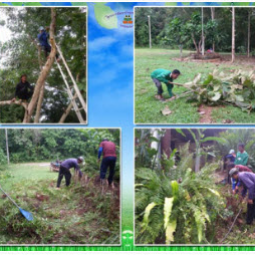โครงการพัฒนาป่าชุมชนบ้านอ่างเอ็ด จังหวัดจันทบุรี (17 สิงหาคม 2559)