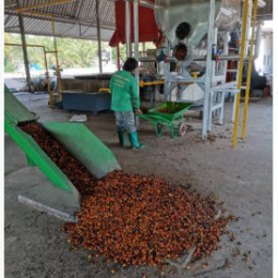 โครงการโรงงานสกัดน้ำมันพืชและผลิตไบโอดีเซลครบวงจร​ จ.เพชรบุรี (14 พฤษภาคม 2563)