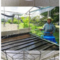โครงการปลูกพืชไร้ดิน (ไฮโดรโพนิกส์) จ.ปราจีนบุรี (30 กันยายน 2563)