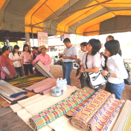 ติดตามผลการพัฒนาอาชีพเสริมของกลุ่มแม่บ้านตำบลโคกปรง อำเภอวิเชียรบุรี จังหวัดเพชรบูรณ์ (27  กุมภาพันธ์  2552)