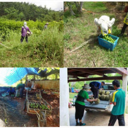 โครงการพัฒนาป่าชุมชนบ้านอ่างเอ็ด จังหวัดจันทบุรี (15 พฤษภาคม 2558)