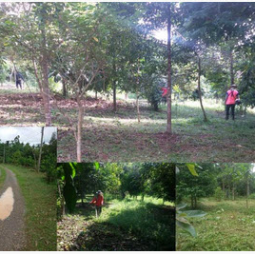 โครงการพัฒนาป่าชุมชนบ้านอ่างเอ็ด จังหวัดจันทบุรี (23 กรกฎาคม 2558)