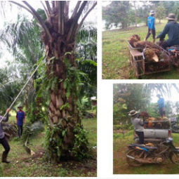 โครงการพัฒนาป่าชุมชนบ้านอ่างเอ็ด จังหวัดจันทบุรี (13 ตุลาคม 2558)