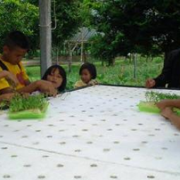 โครงการ ปลูกพืชไร้ดิน(ไฮโดรโพนิกส์) จ. ปราจีนบุรี(13 กรกฎาคม 2553)