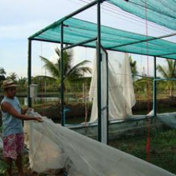 โครงการฟาร์มทดสอบสาธิตมีนเกษตร “สองน้ำ” บ้านท่าไข่ จ.ฉะเชิงเทรา(31 พฤษภาคม 2553)