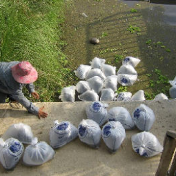 โครงการศูนย์สาธิตพืชไร่และพืชสวนอันเนื่องมาจากพระราชดำริ ต.ท่าแร้ง อ.บ้านแหลม จ.เพชรบุรี (29  เมษายน  2552)