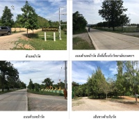 <strong>อ่านเพิ่มเติมเกี่ยวกับ</strong><br />วัดป่าศรีมงคลธรรม ตำบลเขาชะงุ้ม อำเภอโพธาราม จังหวัดราชบุรี วัดป่าศรีมงคลธรรม ตำบลเขาชะงุ้ม อำเภอโพธาราม จังหวัดราชบุรี