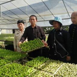 โครงการศูนย์พัฒนาพันธุ์พืชจักรพันธ์เพ็ญศิริ จังหวัดเชียงราย (30 มกราคม 2560)