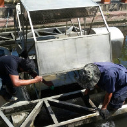 โครงการการปรับปรุงคุณภาพน้ำโดยเติมกังหันน้ำมูลนิธิชัยพัฒนา กรุงเทพฯ (30 มกราคม 2560)