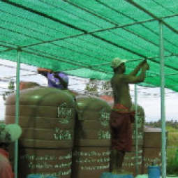 โครงการศูนย์สาธิตพืชไร่และพืชสวนอันเนื่องมาจากพระราชดำริ ต.ท่าแร้ง อ.บ้านแหลม จ.เพชรบุรี (15  มิถุนายน  2552)