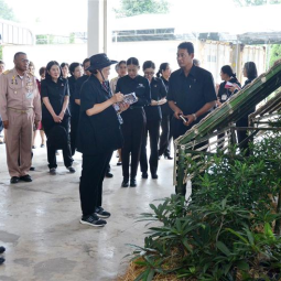 <strong>Read more about</strong><br />HRH Princess Maha Chakri Sirindhorn visits Chakraband Pensiri Center to observe the progress of plant breeding in Khaodin Pattana, Chaloem Phra Kiat, Saraburi province HRH Princess Maha Chakri Sirindhorn visits Chakraband Pensiri Center to observe the progress of plant breeding in Khaodin Pattana, Chaloem Phra Kiat, Saraburi province