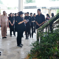 HRH Princess Maha Chakri Sirindhorn visits Chakraband Pensiri Center to observe the progress of plant breeding in Khaodin Pattana, Chaloem Phra Kiat, Saraburi province