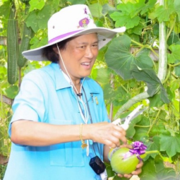<strong>Read more about</strong><br />Her Royal Highness Princess Maha Chakri Sirindhorn Observes the Operations of “Thaharn Phandee Project (Good Soldiers)” Kanchanaburi Province Her Royal Highness Princess Maha Chakri Sirindhorn Observes the Operations of “Thaharn Phandee Project (Good Soldiers)” Kanchanaburi Province