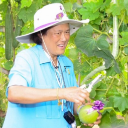 Her Royal Highness Princess Maha Chakri Sirindhorn Observes the Operations of “Thaharn Phandee Project (Good Soldiers)” Kanchanaburi Province