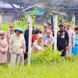 <strong>Read more about</strong><br />Her Royal Highness Princess Maha Chakri Sirindhorn Harvests Rice at the Chulachomklao Royal Military Academy, Nakhon Nayok Province Her Royal Highness Princess Maha Chakri Sirindhorn Harvests Rice at the Chulachomklao Royal Military Academy, Nakhon Nayok Province
