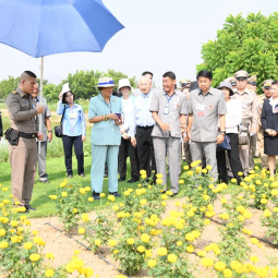 <strong>Read more about</strong><br />Her Royal Highness Princess Maha Chakri Sirindhorn Proceeds to Observe an Operation Progress of the Chaipattana Foundation Projects in Nakhon Sawan Province Her Royal Highness Princess Maha Chakri Sirindhorn Proceeds to Observe an Operation Progress of the Chaipattana Foundation Projects in Nakhon Sawan Province