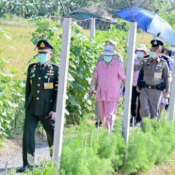 <strong>Read more about</strong><br />Her Royal Highness Princess Maha Chakri Sirindhorn Observes the Activity of Transplanting Rice Seedlings at Chulachomklao Royal Military Academy in Nakhon Nayok Province Her Royal Highness Princess Maha Chakri Sirindhorn Observes the Activity of Transplanting Rice Seedlings at Chulachomklao Royal Military Academy in Nakhon Nayok Province